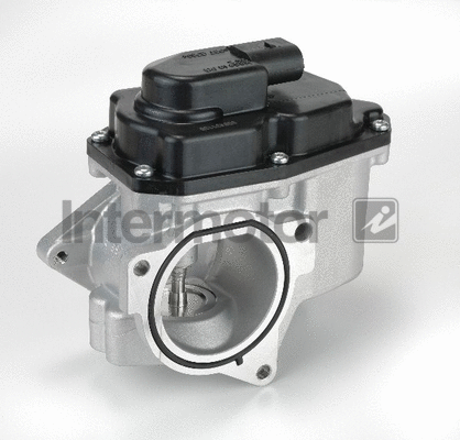 EGR Valve (14975)