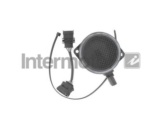 Mass Air Flow Sensor (19712)