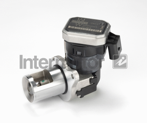 EGR Valve (14305)