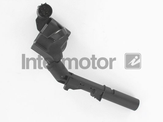 Ignition Coil (12231)