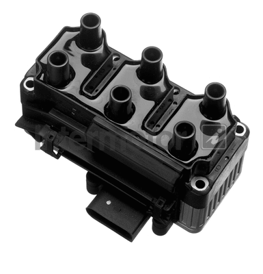 Ignition Coil (12923)