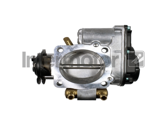 Throttle Body (68269)