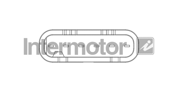 Mass Air Flow Sensor (19747)