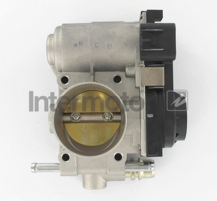 Throttle Body (68413)