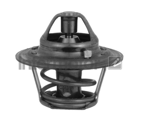 Thermostat, coolant (75208)