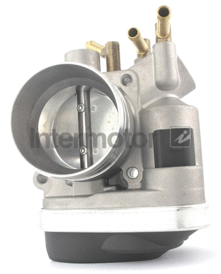 Throttle Body (68282)