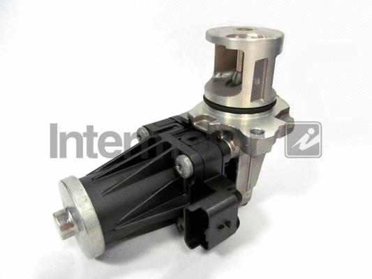EGR Valve (14487)