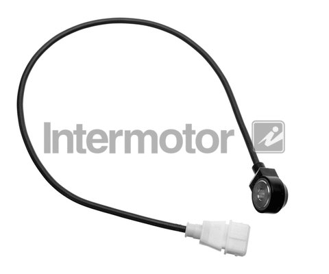 Knock Sensor (19520)