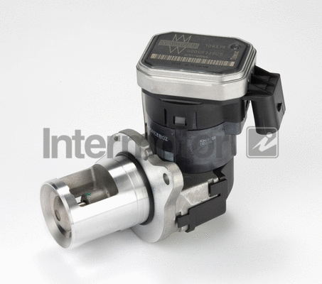 EGR Valve (14304)