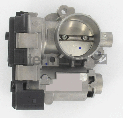 Throttle Body (68449)