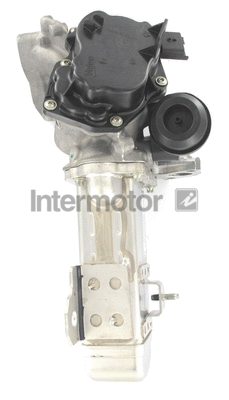 EGR Valve (18072)