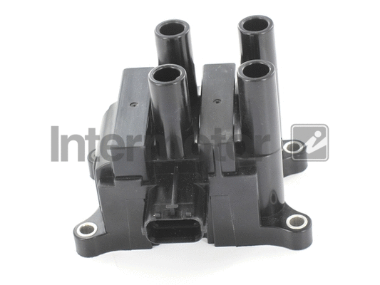 Ignition Coil (12119)