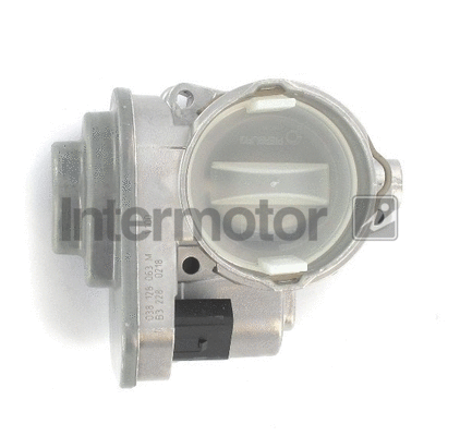 Throttle Body (68252)