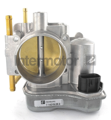 Throttle Body (68216)