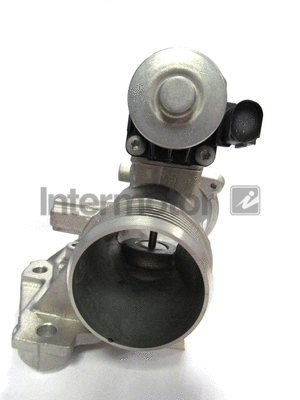 EGR Valve (18002)