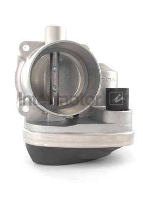 Throttle Body (68223)