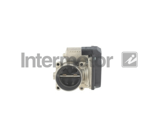 Throttle Body (68288)