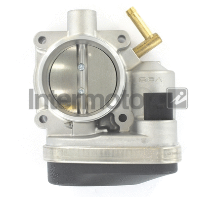 Throttle Body (68257)