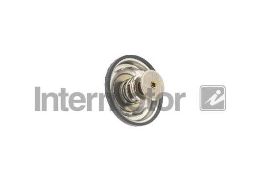 Thermostat, coolant (75207)