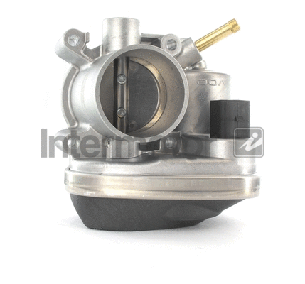 Throttle Body (68225)