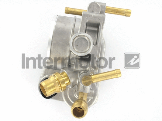 Throttle Body (68366)