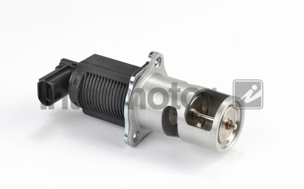 EGR Valve (14310)