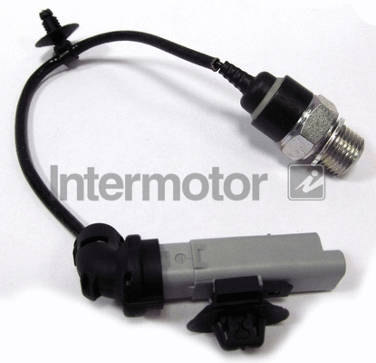Oil Pressure Switch (50924)