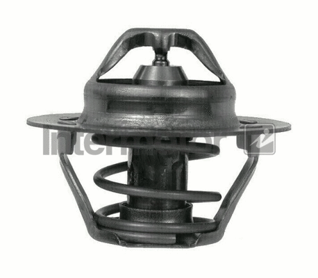 Thermostat, coolant (75124)