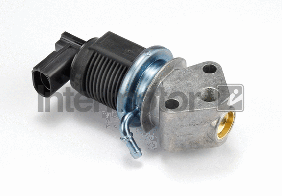EGR Valve (14317)