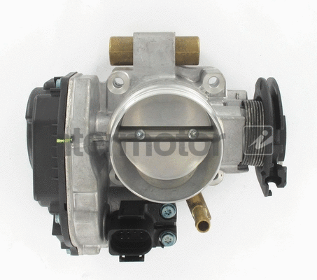 Throttle Body (68266)