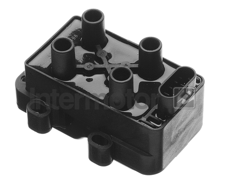 Ignition Coil (12596)