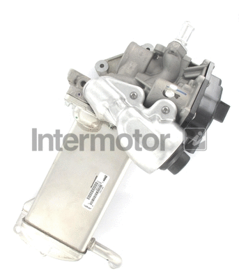 EGR Valve (18010)