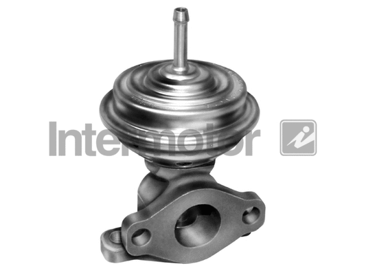 EGR Valve (14925)