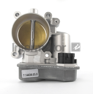 Throttle Body (68301)