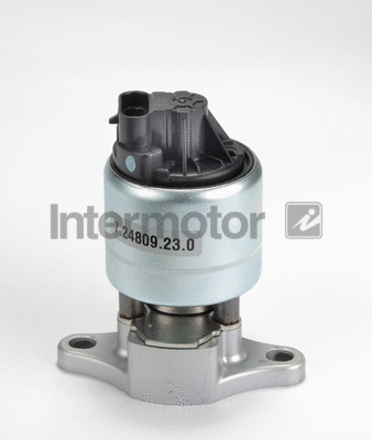 EGR Valve (14989)