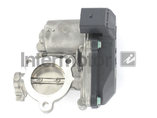EGR Valve (18041)
