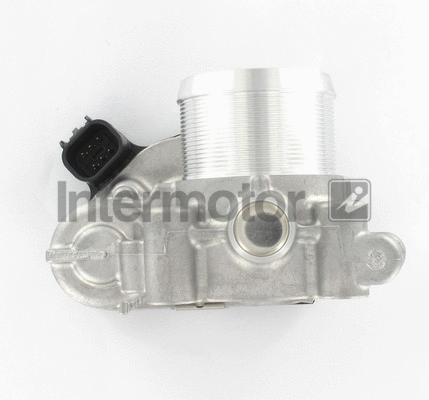 Throttle Body (68427)