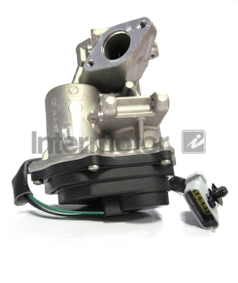 EGR Valve (18006)
