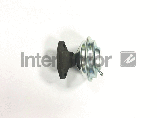 EGR Valve (14900)