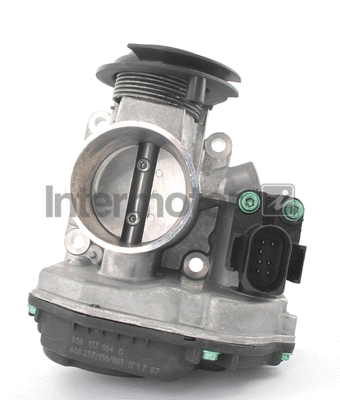 Throttle Body (68228)