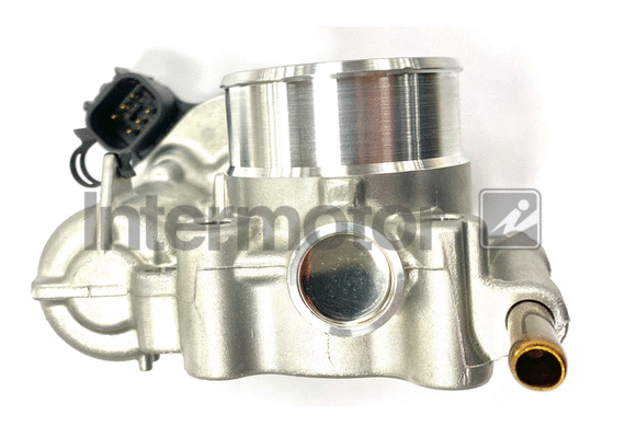 Throttle Body (68455)