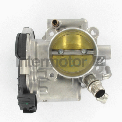 Throttle Body (68402)