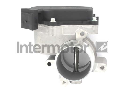 Throttle Body (68345)