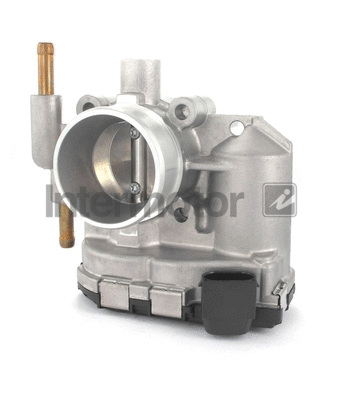 Throttle Body (68219)
