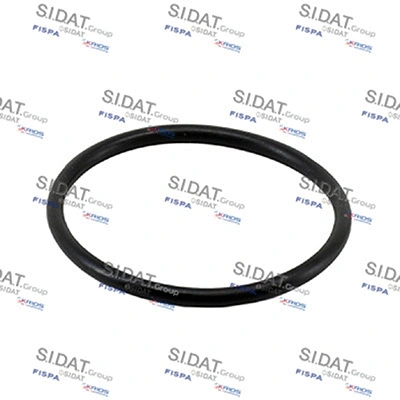 Seal, thermostat (94.01669)