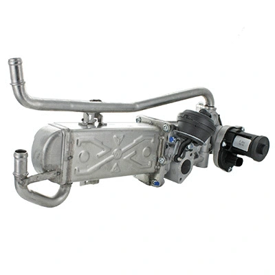 EGR Valve (83.1011R)