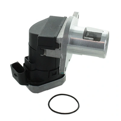EGR Valve (83.894AS)