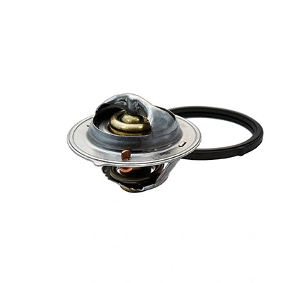 Thermostat, coolant (94.790)