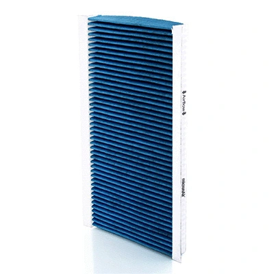 Filter, cabin air (BL607)
