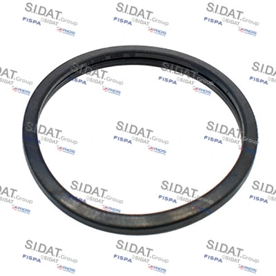 Seal, thermostat (94.016100)